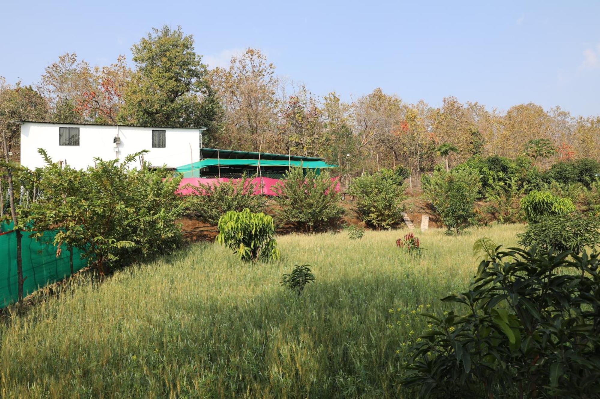 Anjani Farms Villa Nagpur Exterior photo